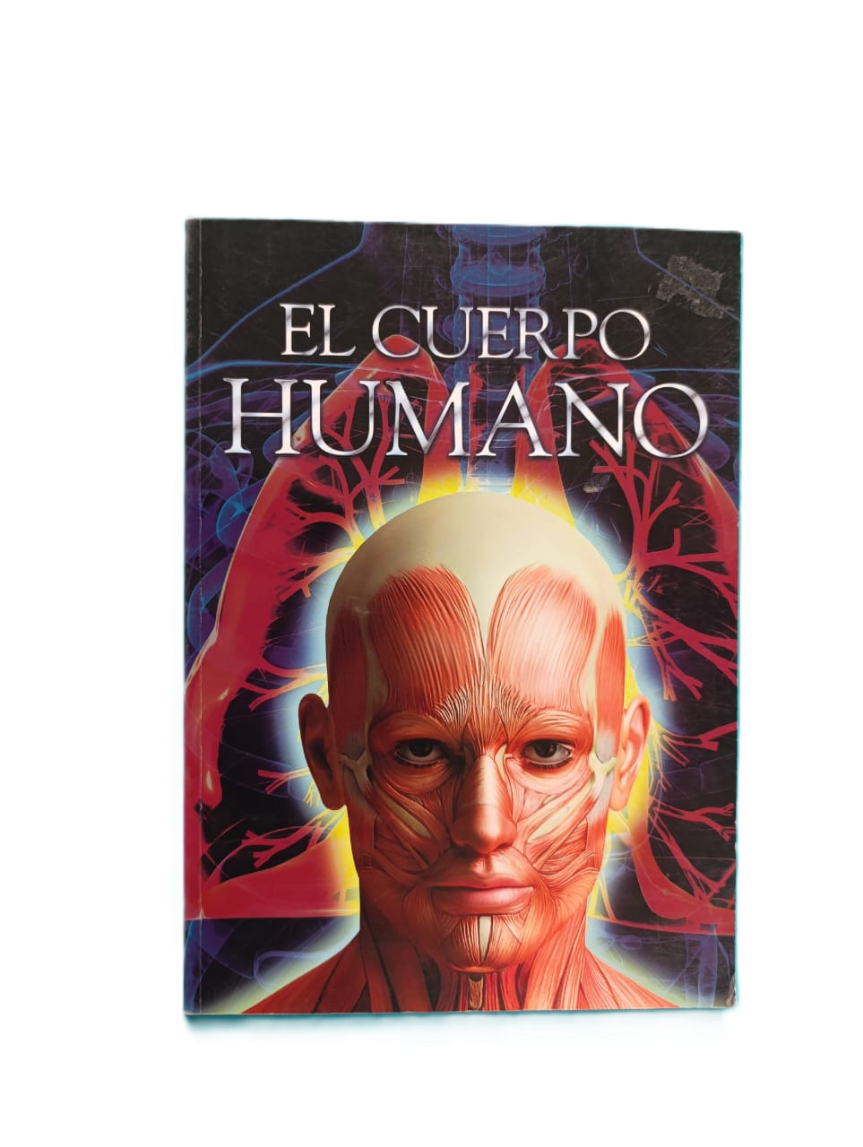 El Cuerpo Humano