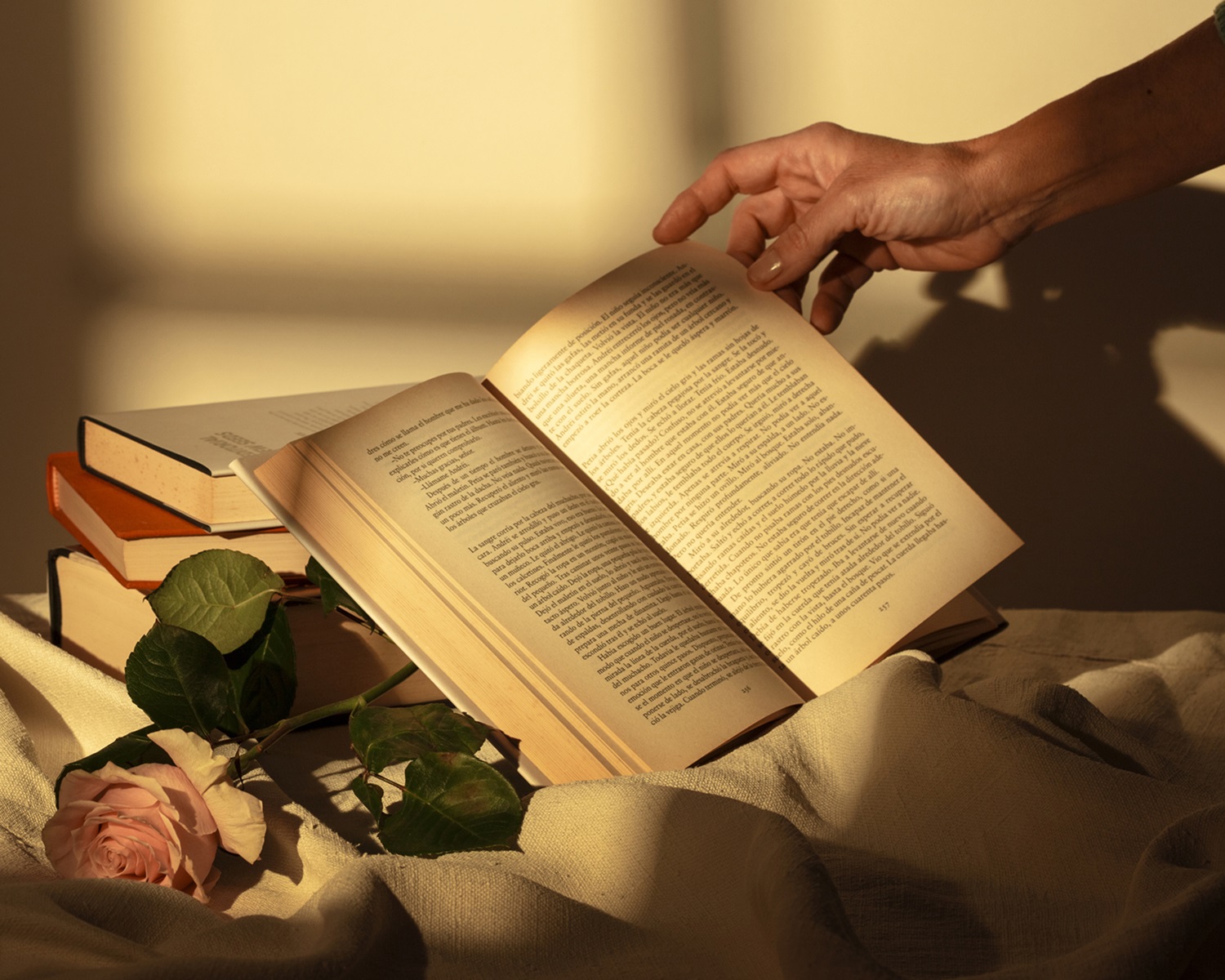 Ha ocurrido un error.